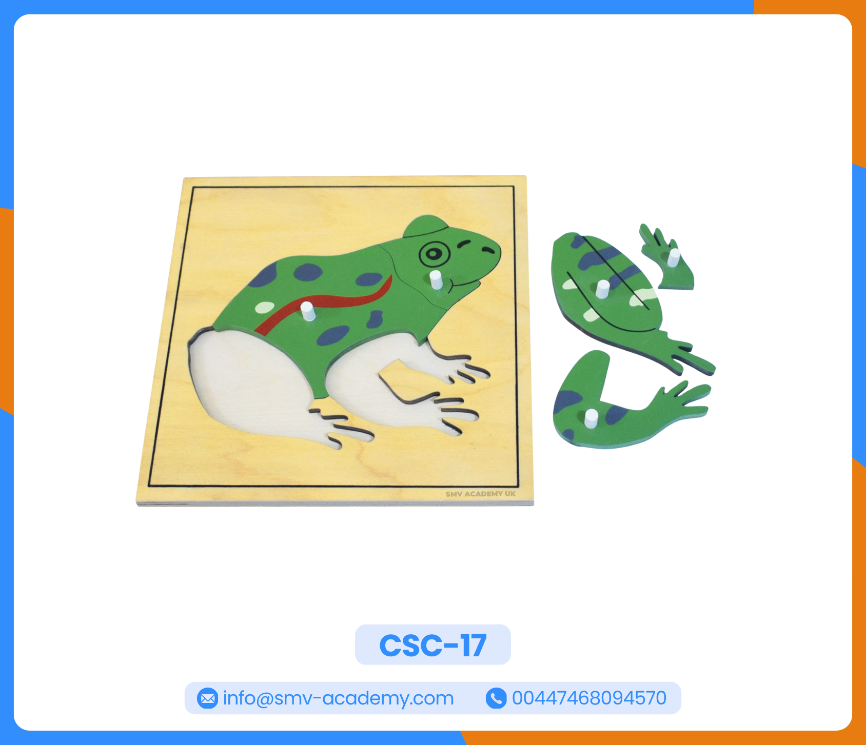 بازل أجزاء الضفدع